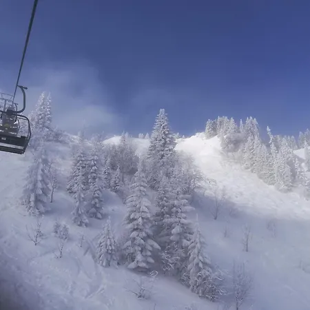 Hoicherhof *